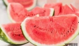 各年代吃瓜,各年代吃瓜文化概览