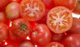 吃瓜西红柿嘴疼,揭秘网络热议背后的真相与反思