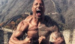 强森吃瓜,揭秘娱乐圈背后的秘密与真相