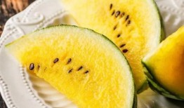 吃瓜猿人,揭秘网络红人的崛起与影响