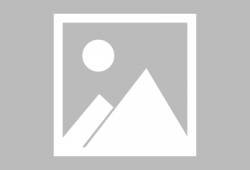 吃瓜的杨洋,吃瓜群众眼中的娱乐圈风云人物