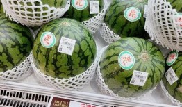 在朝堂吃瓜7,揭秘宫廷中的“吃瓜”文化