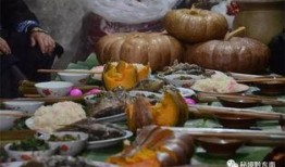 水族吃瓜,水族世界里的“吃瓜群众”趣闻录