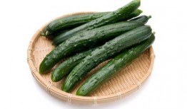 每日吃瓜必吃大瓜地址,独家地址带你畅游瓜界盛宴