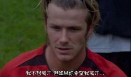 小贝在吃瓜,揭秘娱乐圈的“瓜田”风云