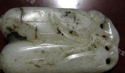 晚上吃白玉瓜,营养美味，健康养生新选择