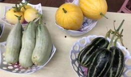 东方御景吃瓜,吃瓜群众揭秘豪宅风云
