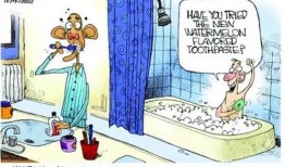 和同事吃瓜捞,揭秘吃瓜捞背后的职场风云