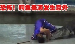 吃瓜圈子,一场全民参与的娱乐盛宴