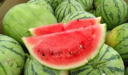 田宝吃瓜,揭秘娱乐圈幕后故事