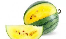 吃瓜管理学,创新学生管理模式探析