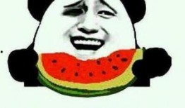 欢迎吃瓜群众来围观,一场全民围观的热闹盛宴