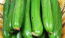 春季吃瓜好吗,吃瓜也能养生吗？