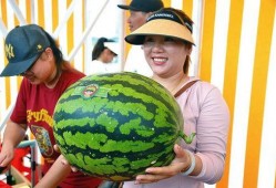 吃瓜开幕,揭秘娱乐圈幕后风云