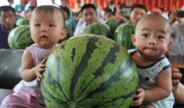 吃瓜开幕,揭秘娱乐圈幕后风云