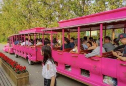 打卡吃瓜怎么拍照好看