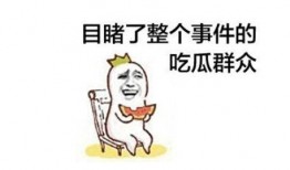 网友吃瓜群众网站,吃瓜群众网站背后的故事