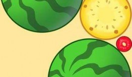 让你吃瓜游戏,趣味互动，轻松解锁娱乐新境界