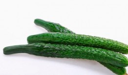 小驰娱乐吃瓜,揭秘娱乐圈最新吃瓜事件