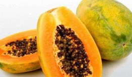 女人梦见吃酥瓜,女人梦中品尝酥瓜的神秘寓意