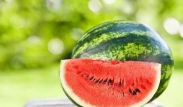 吃瓜冰岛,探寻吃瓜冰岛的独特风味