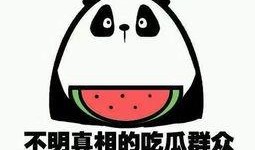 形容网络吃瓜的词,揭秘虚拟世界中的围观现象