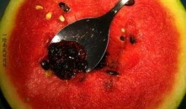 奇葩赝品带你吃瓜,奇葩赝品带你领略另类“吃瓜”盛宴