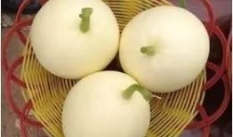 吃小白瓜了,品味小白瓜的甘甜滋味