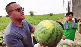 铁男吃瓜,揭秘娱乐圈背后的惊人真相