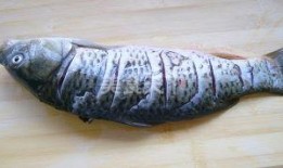 鲤鱼吃瓜的视频