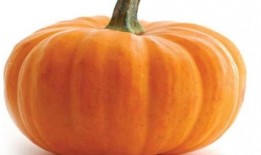 秋天吃葫芦瓜好吗,葫芦瓜的食疗益处与食用建议