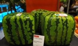 地雷吃瓜,揭秘网络舆论场的暗流涌动