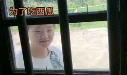 机车妹吃瓜,揭秘娱乐圈背后的那些事儿