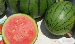 彩虹秘蜜吃瓜,揭秘吃瓜背后的甜蜜秘密