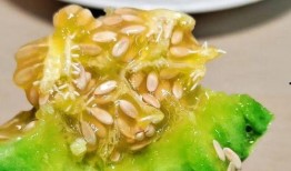 嫩皮瓜怎么吃,解锁美味新体验