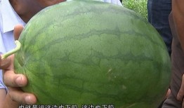 吃博讲瓜,揭秘娱乐圈幕后故事