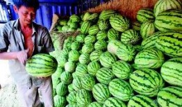 甘肃城市吃瓜,探寻丝绸之路上的甜蜜之旅