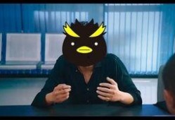 企鹅吃瓜视频,揭秘动物界的“娱乐圈”