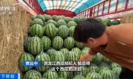 吃瓜贫农,揭秘农村生活的酸甜苦辣