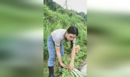 老表吃的瓜,一场舌尖上的盛宴