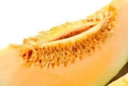 楼兰密瓜怎么吃,解锁美味新境界