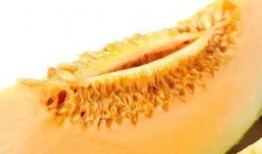 楼兰密瓜怎么吃,解锁美味新境界