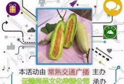 吃羊角瓜拉稀,羊角瓜致拉稀现象解析与预防措施