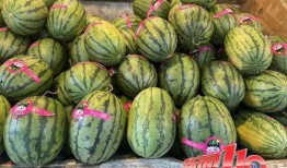 云南吃的第一瓜,第一瓜的甜蜜邂逅