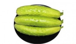 可带皮吃的水果瓜,尽享自然的甘甜——可带皮食用的水果瓜品鉴之旅