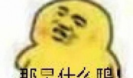 美女吃瓜表情包,美女吃瓜表情包，解锁欢乐新姿势