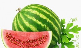 好看的吃瓜壁纸,高清吃瓜壁纸赏析