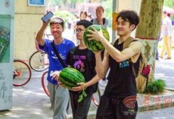 吃瓜学院aj,带你领略校园美食的魅力