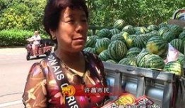 萨拉吃瓜群众,吃瓜群众的美食探索之旅