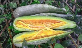 亦心吃瓜,揭秘娱乐圈那些不为人知的幕后故事